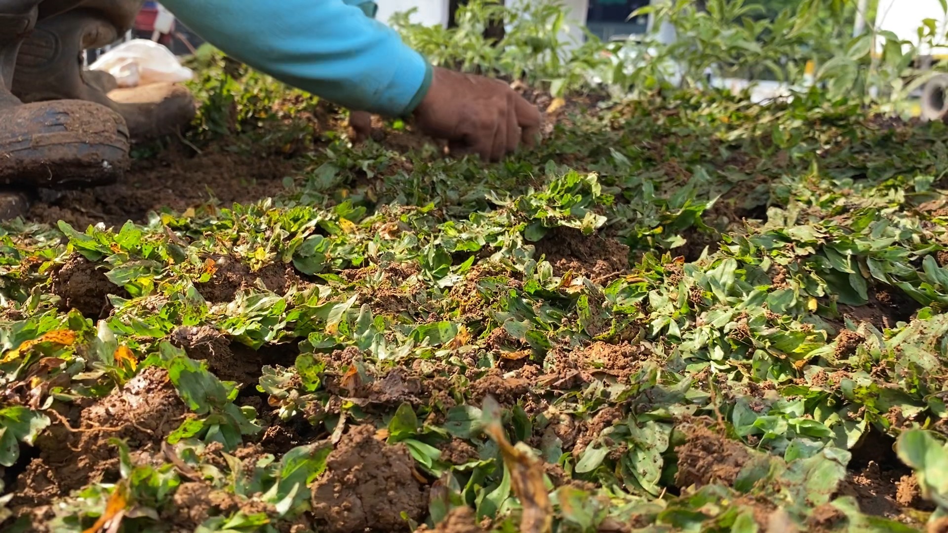 image of movers handling furniture